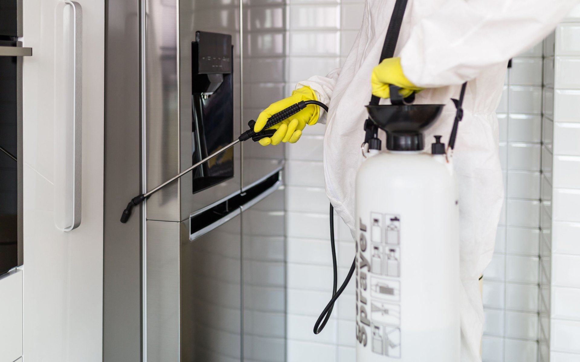 Extermination Services CAD Pest Control Reno, NV