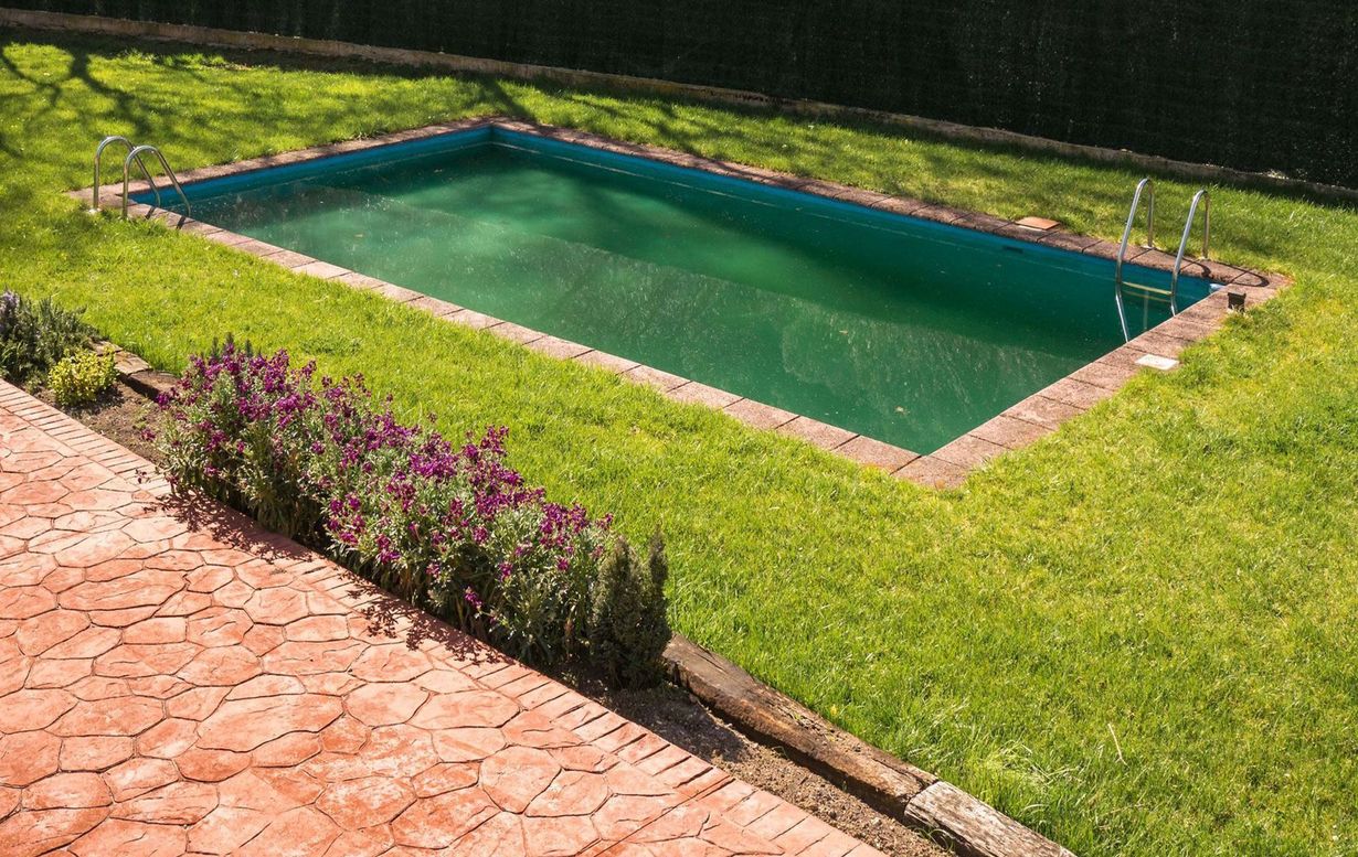 A rectangular swimming pool filled with green water, set in a grassy yard beside a stone patio and purple flowers.