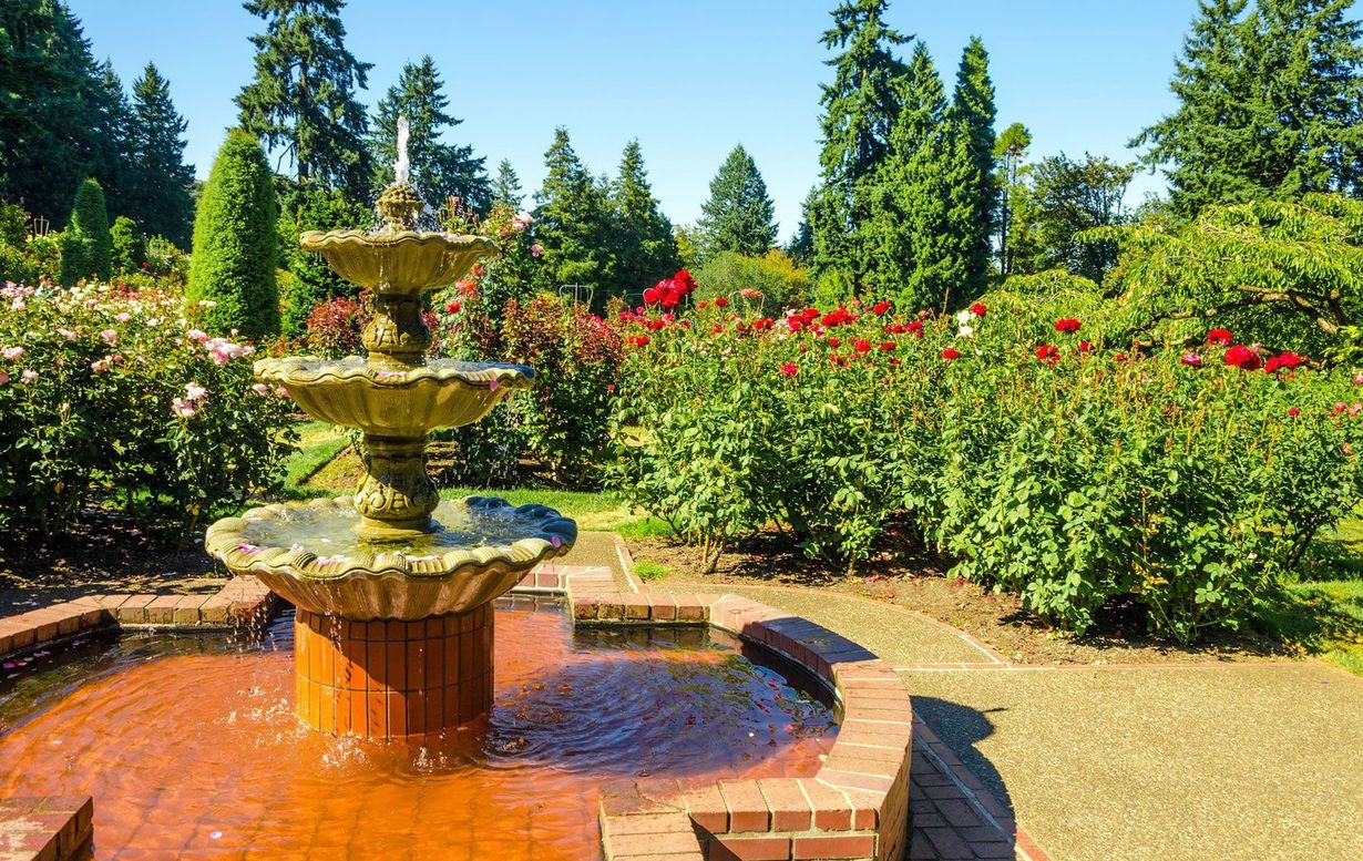A three-tiered stone fountain stands in a rose garden with blooming red flowers, green trees, and blue sky.