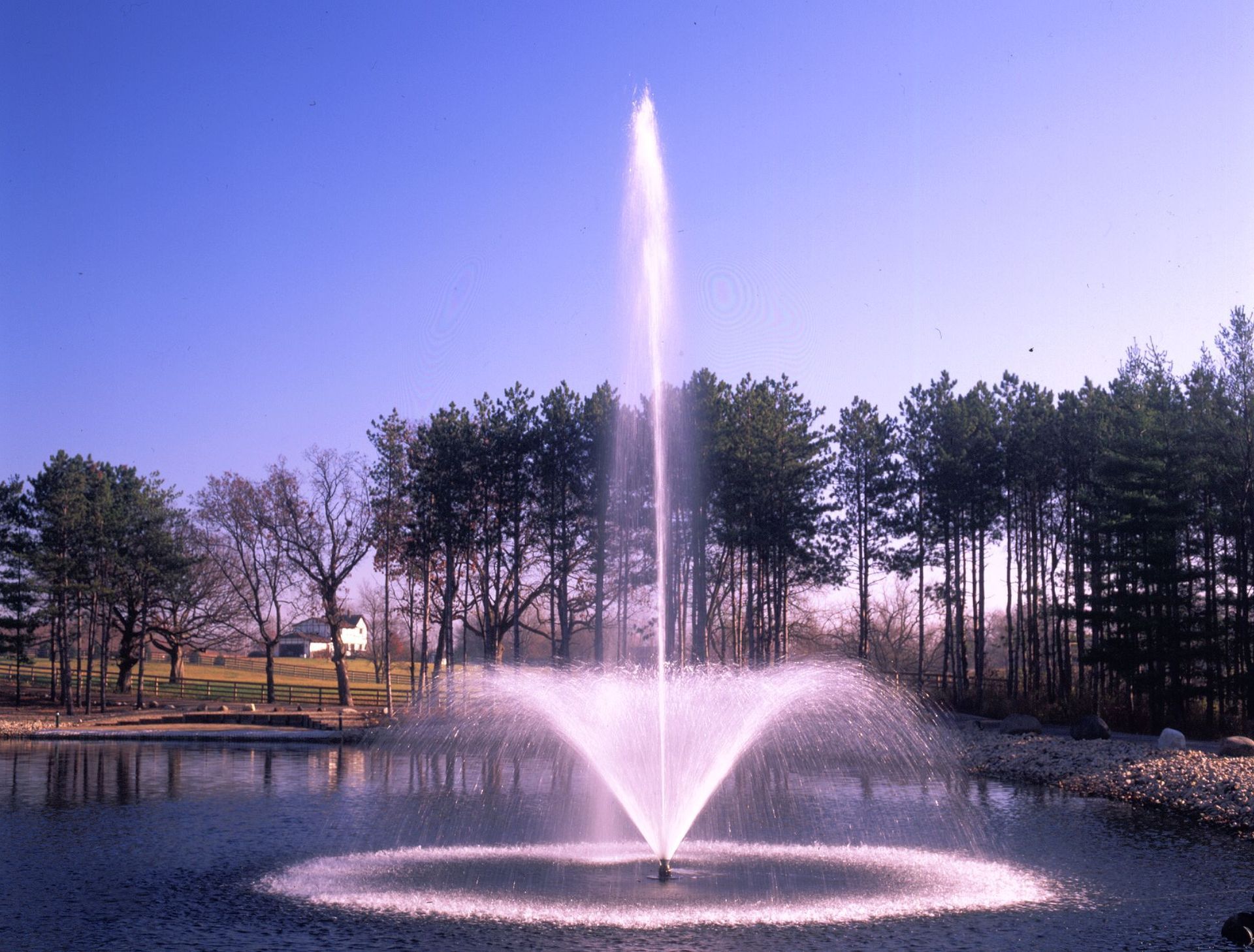 A fountain spraying water into the air in the middle of a pond, with a line of trees in the background under a blue sky.