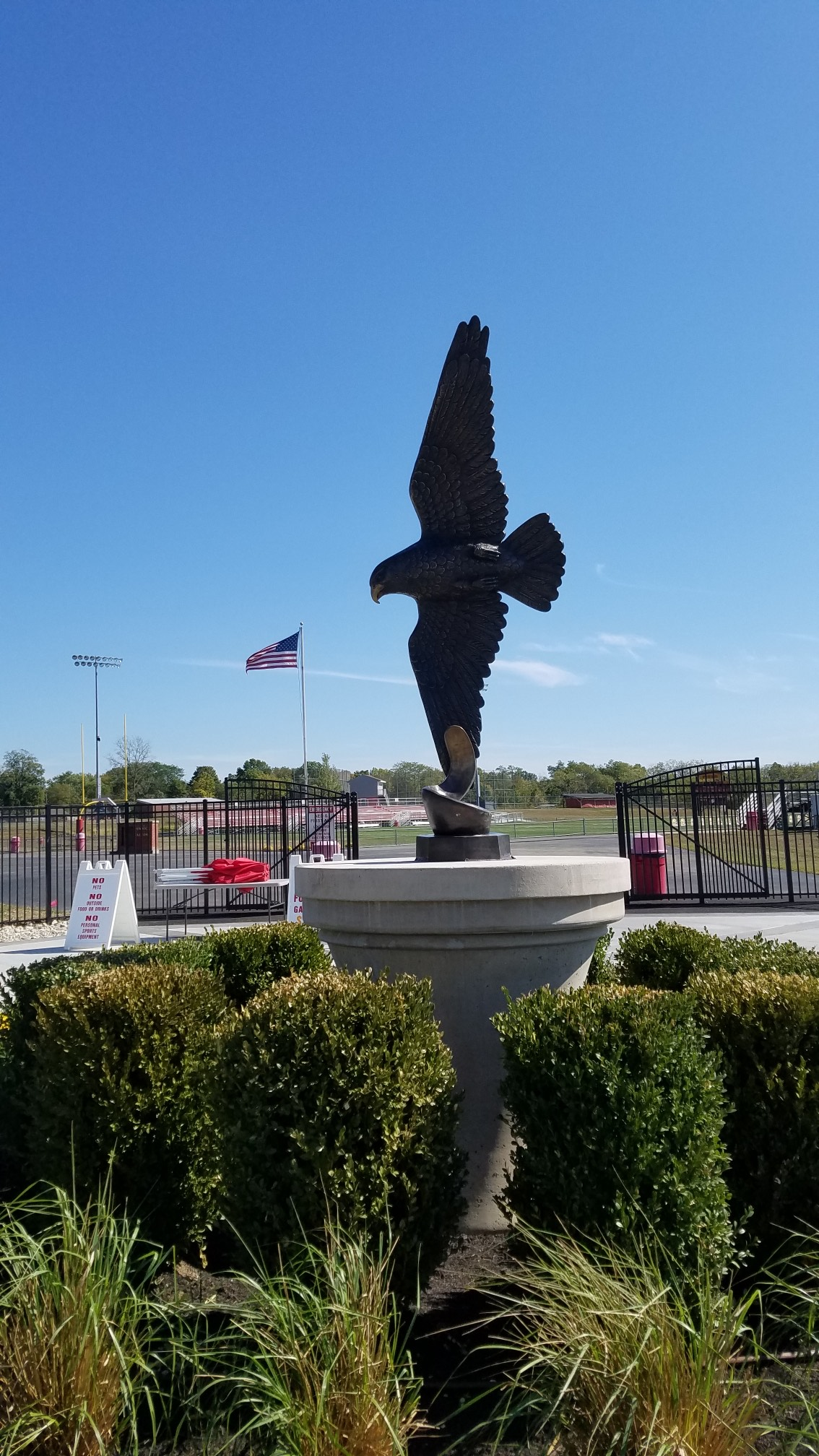 A bronze eagle statue on a stone pedestal, surrounded by green shrubs with an American flag in the background.