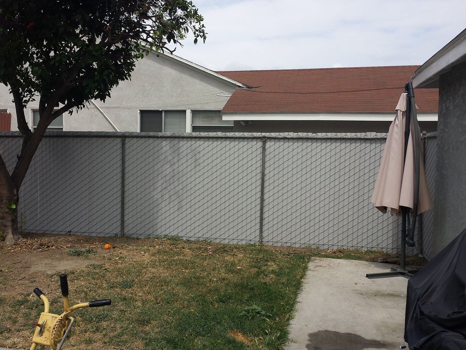 Backyard scene with chain link fence, tree, and partially visible house.