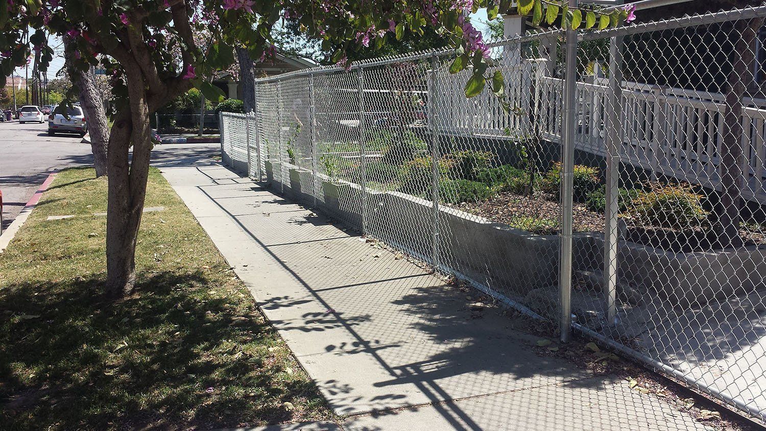 Sidewalk alongside chain-link fence, a tree with pink flowers, and planted area.