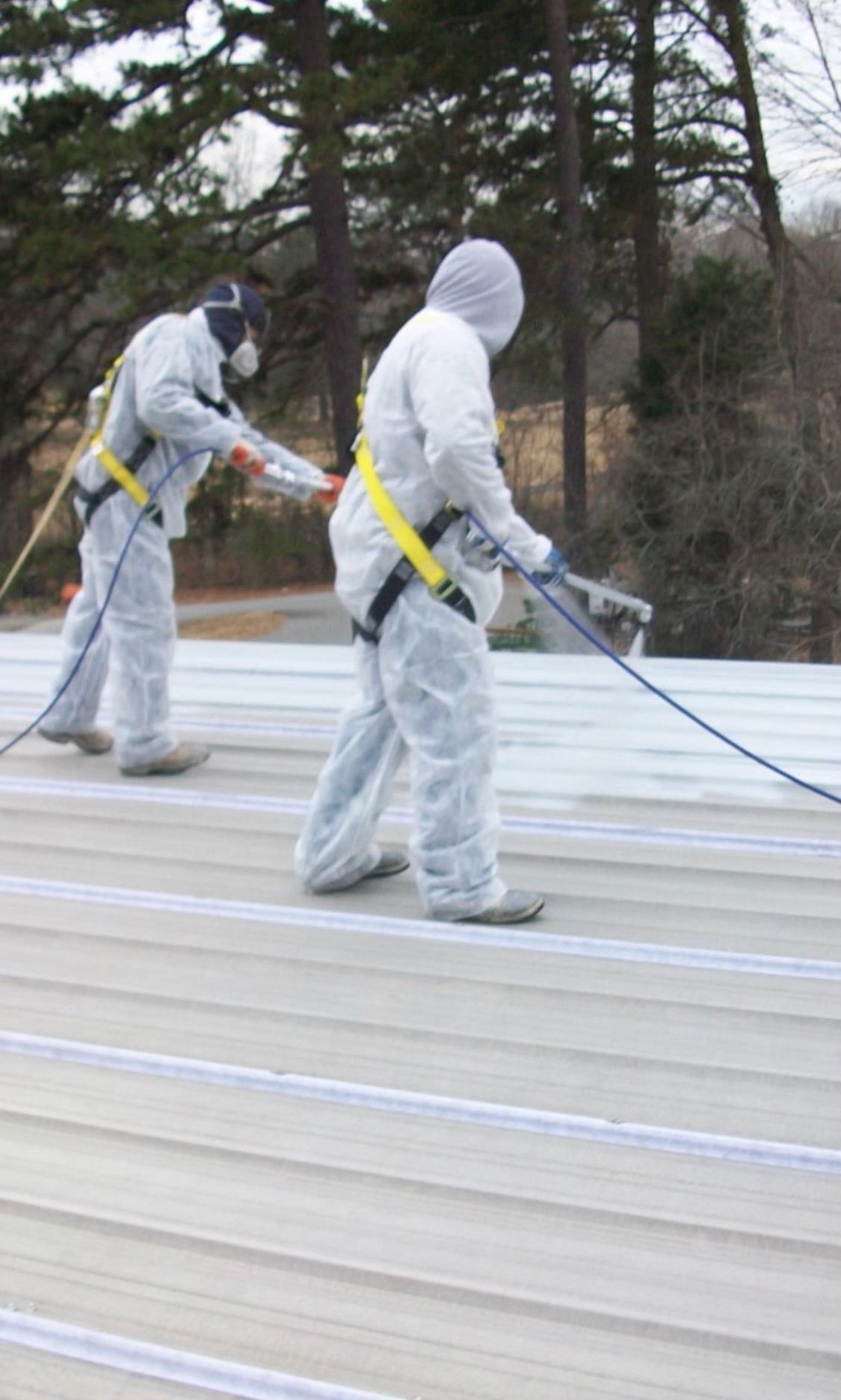 DCH Enterprises Inc work