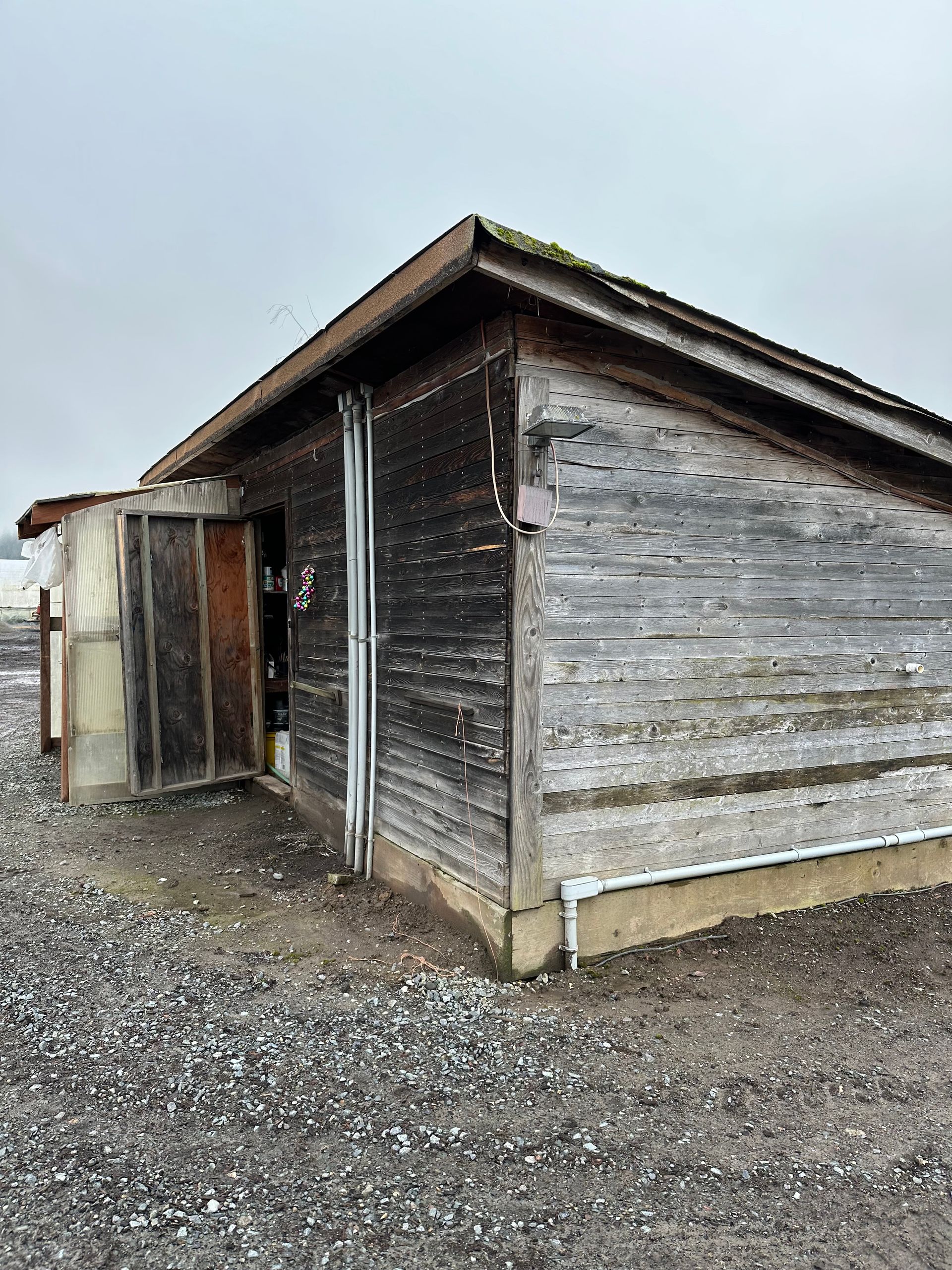 An old wooden shed is sitting in the middle of a gravel field.