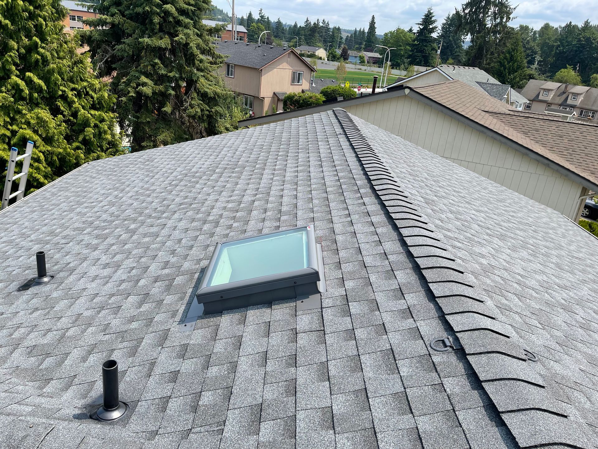 A roof with a skylight and a ladder on it.