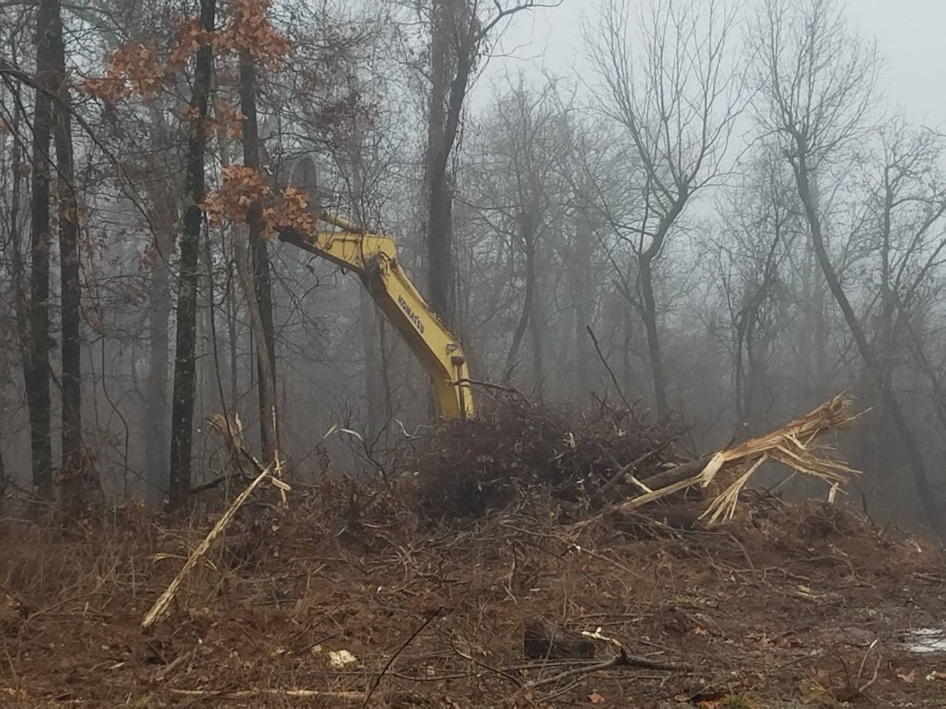 A yellow excavator is working in the woods on a foggy day