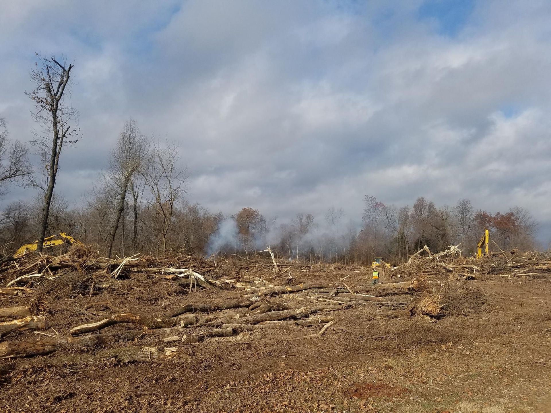 A large pile of logs in a field with trees in the background.