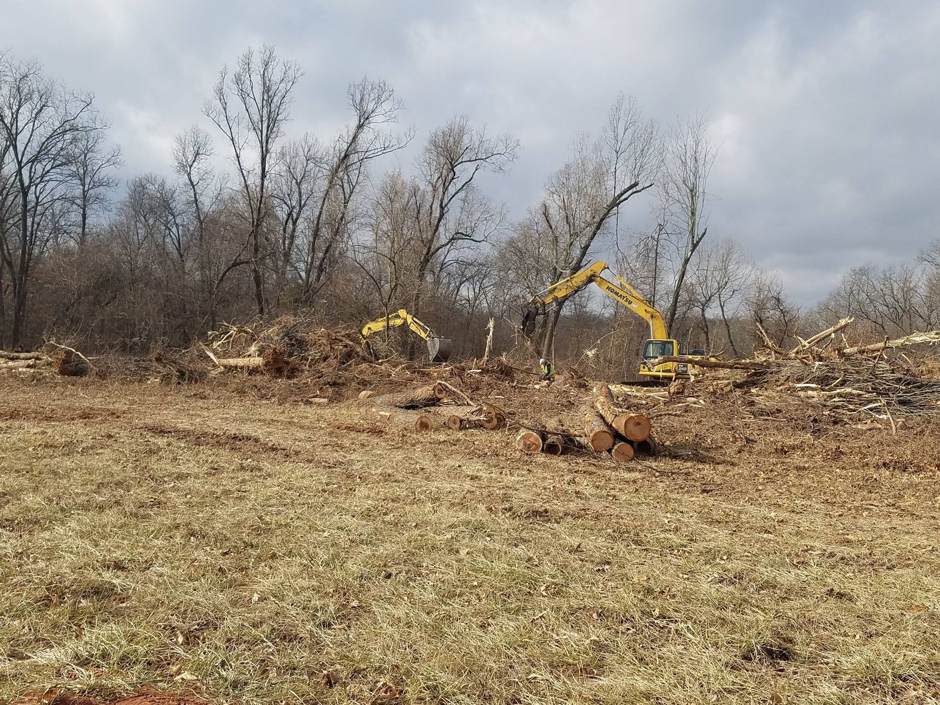 A large yellow excavator is cutting down trees in a field.
