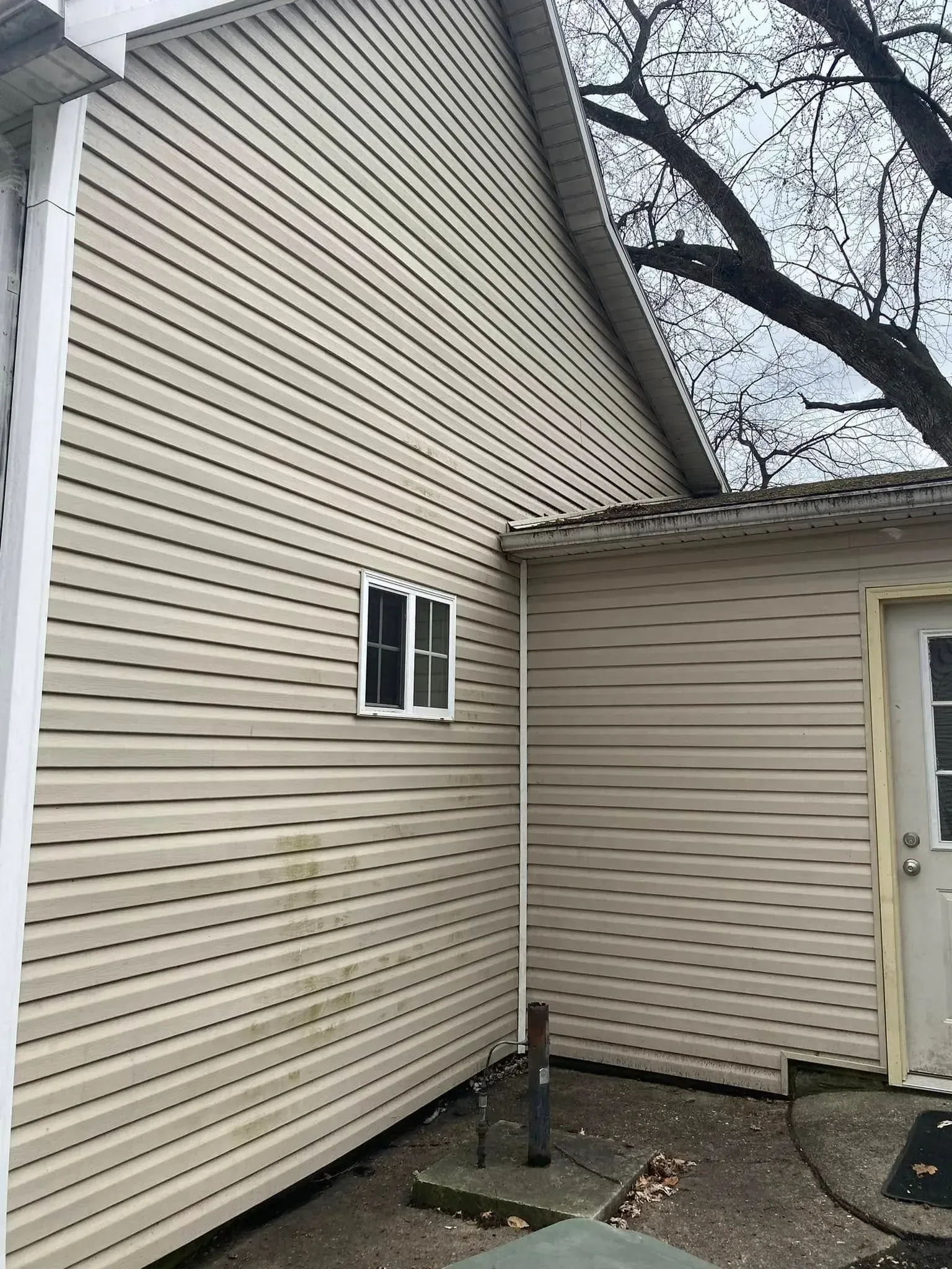 Side of beige house with vinyl siding, small window, and exterior door under a large tree branch.