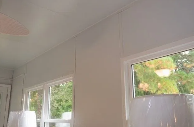 White walls and ceiling with two windows, a light, and a glimpse of outside greenery.