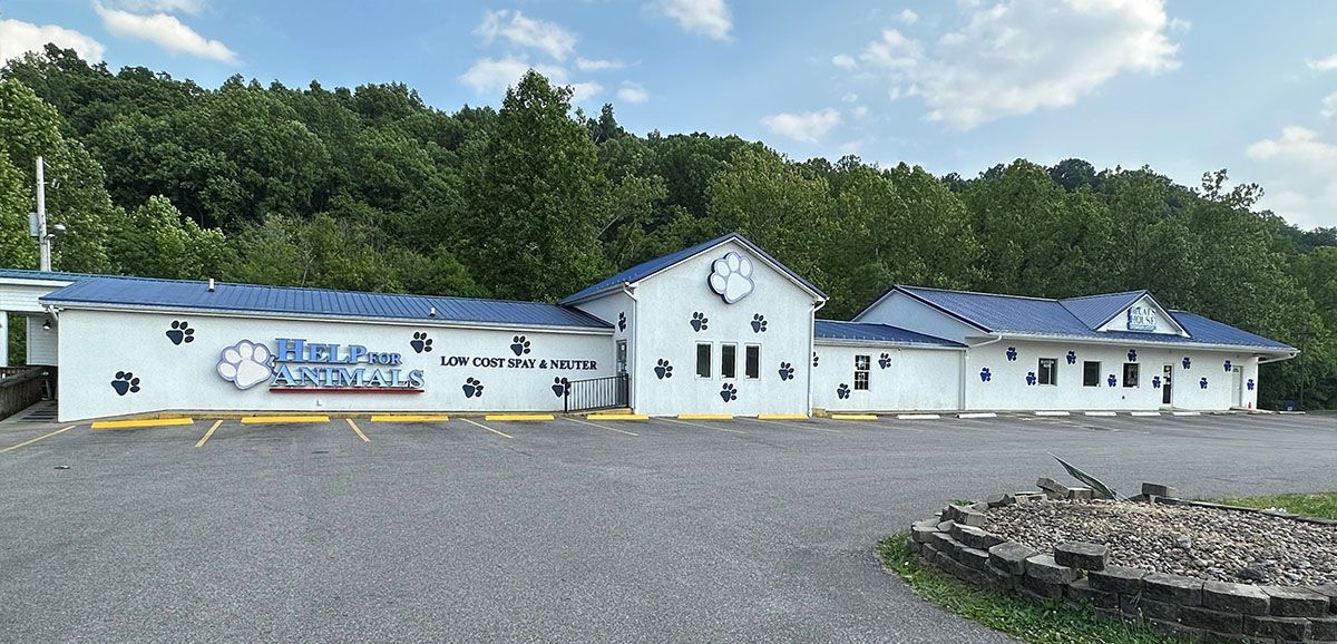 A large white building with a blue roof is surrounded by trees.