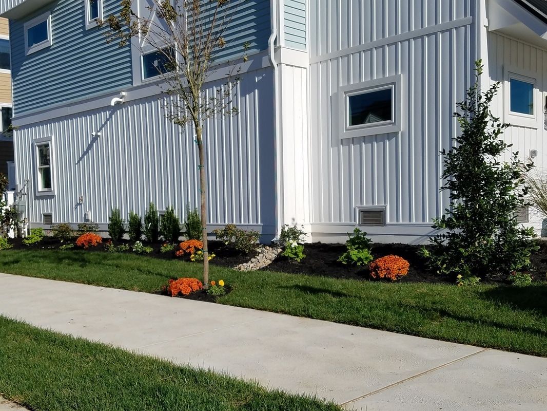 House Side Decoration