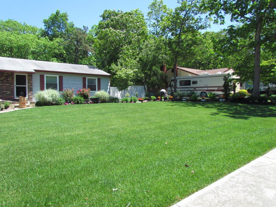 Beautiful Lawn