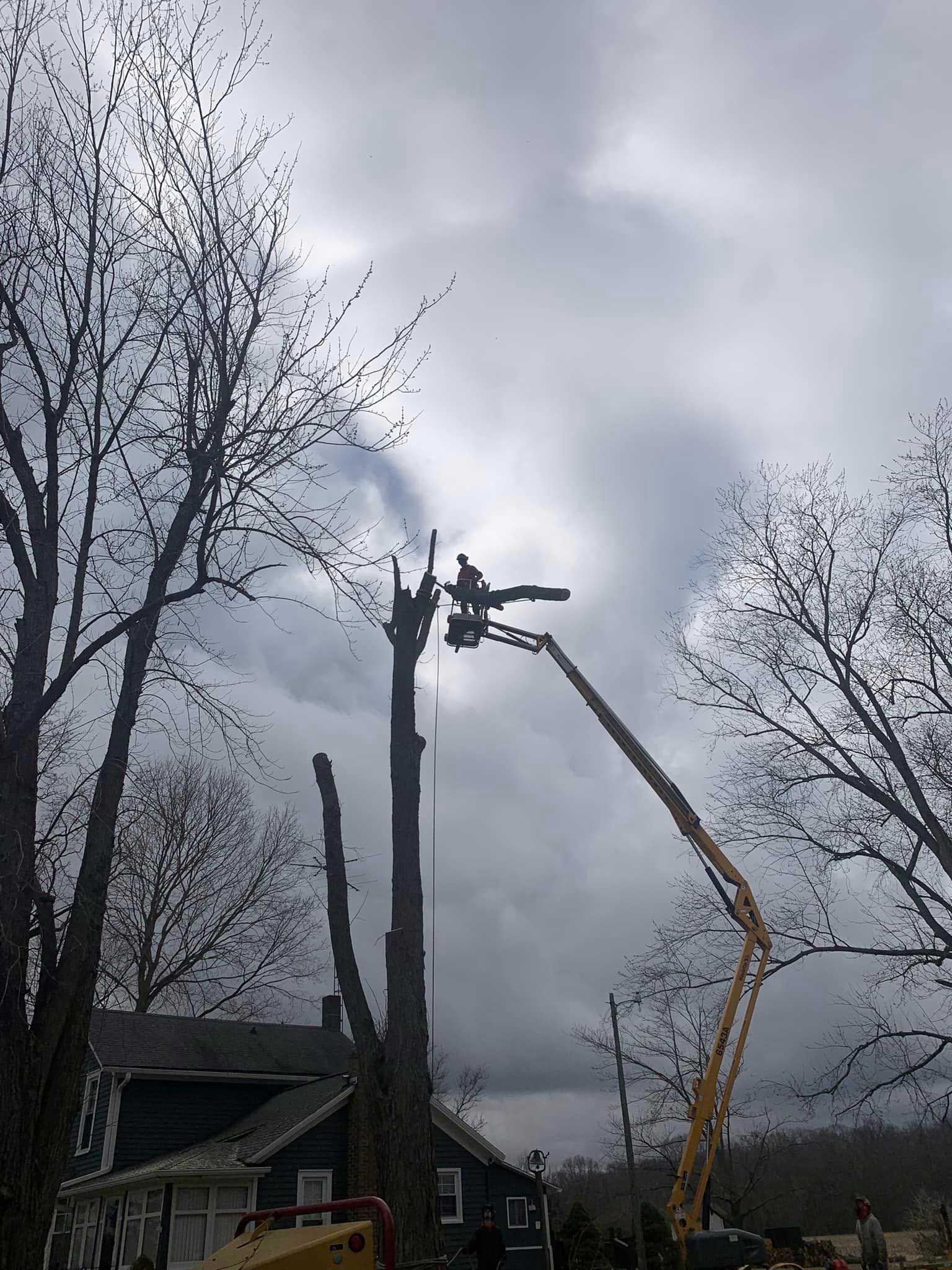 A man is cutting a tree with a crane in front of a house.