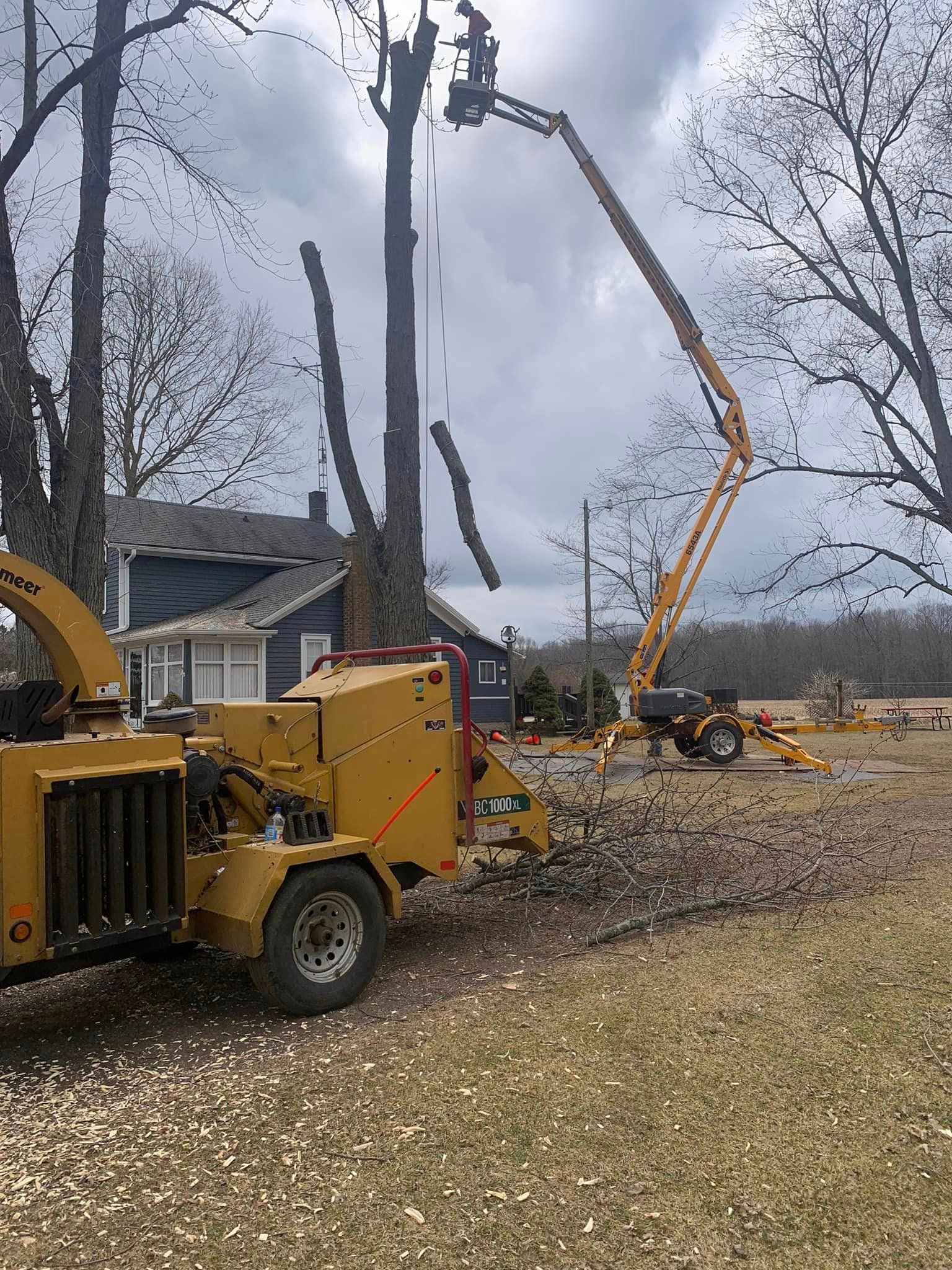 A tree is being cut down by a machine in a yard.