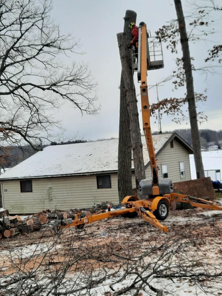 A man is cutting a tree with a crane in front of a house.