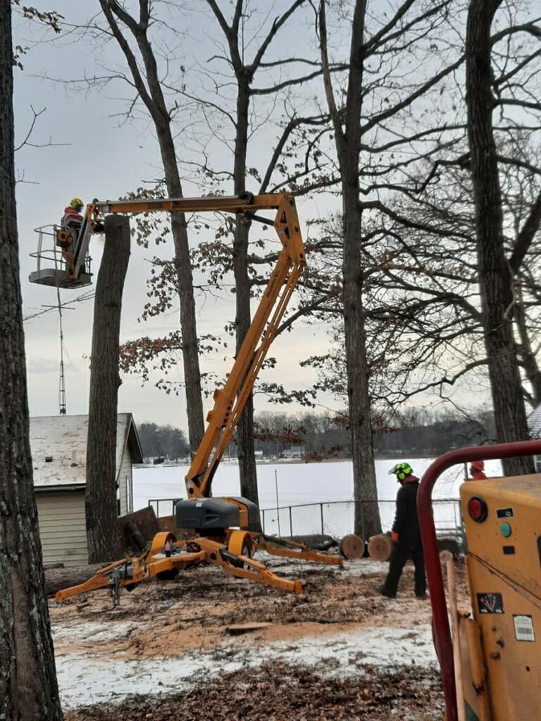 A man is using a crane to cut a tree in the snow.