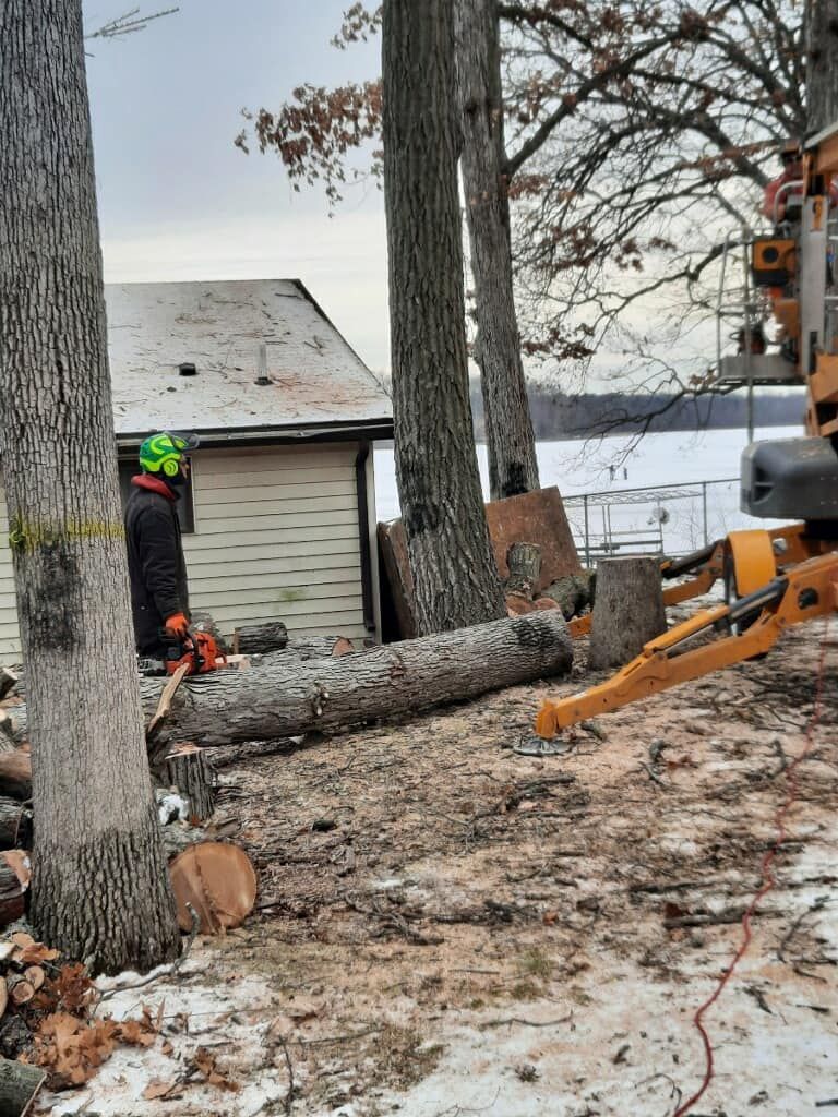 A man is cutting a tree with a chainsaw in front of a house.