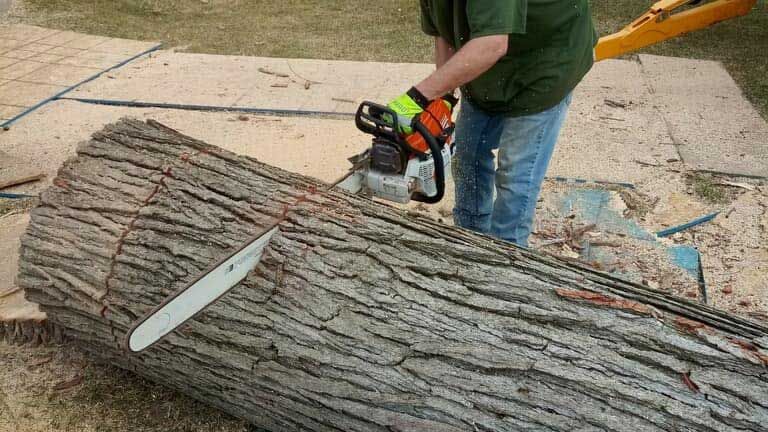 A man is cutting a large log with a chainsaw.