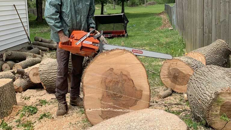 tree services jackson mi