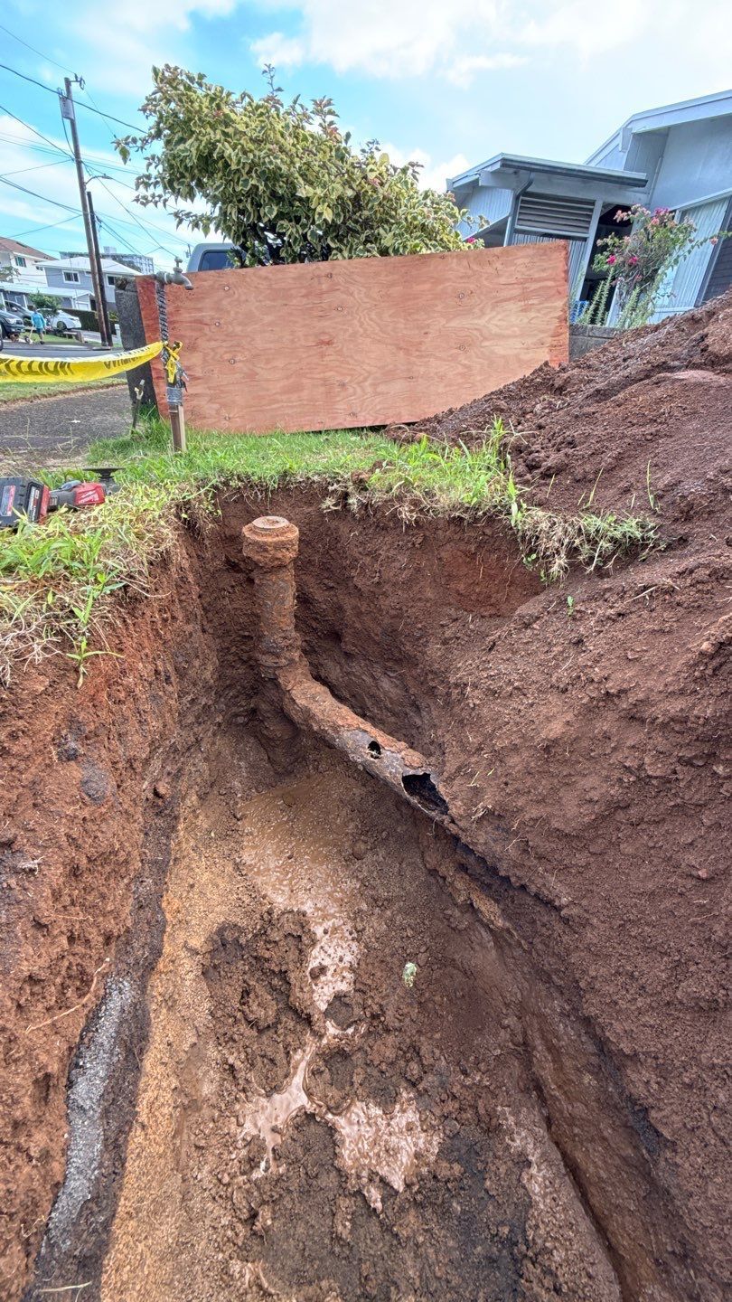 Large roadside sinkhole with exposed tree roots beside a brick wall and houses.