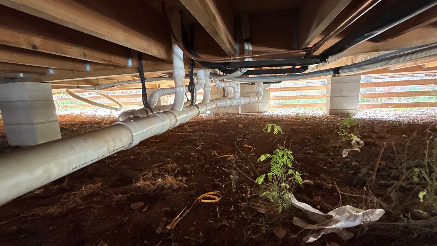 Under-floor crawl space with exposed pipes, dirt floor, and a small plant growing in the center
