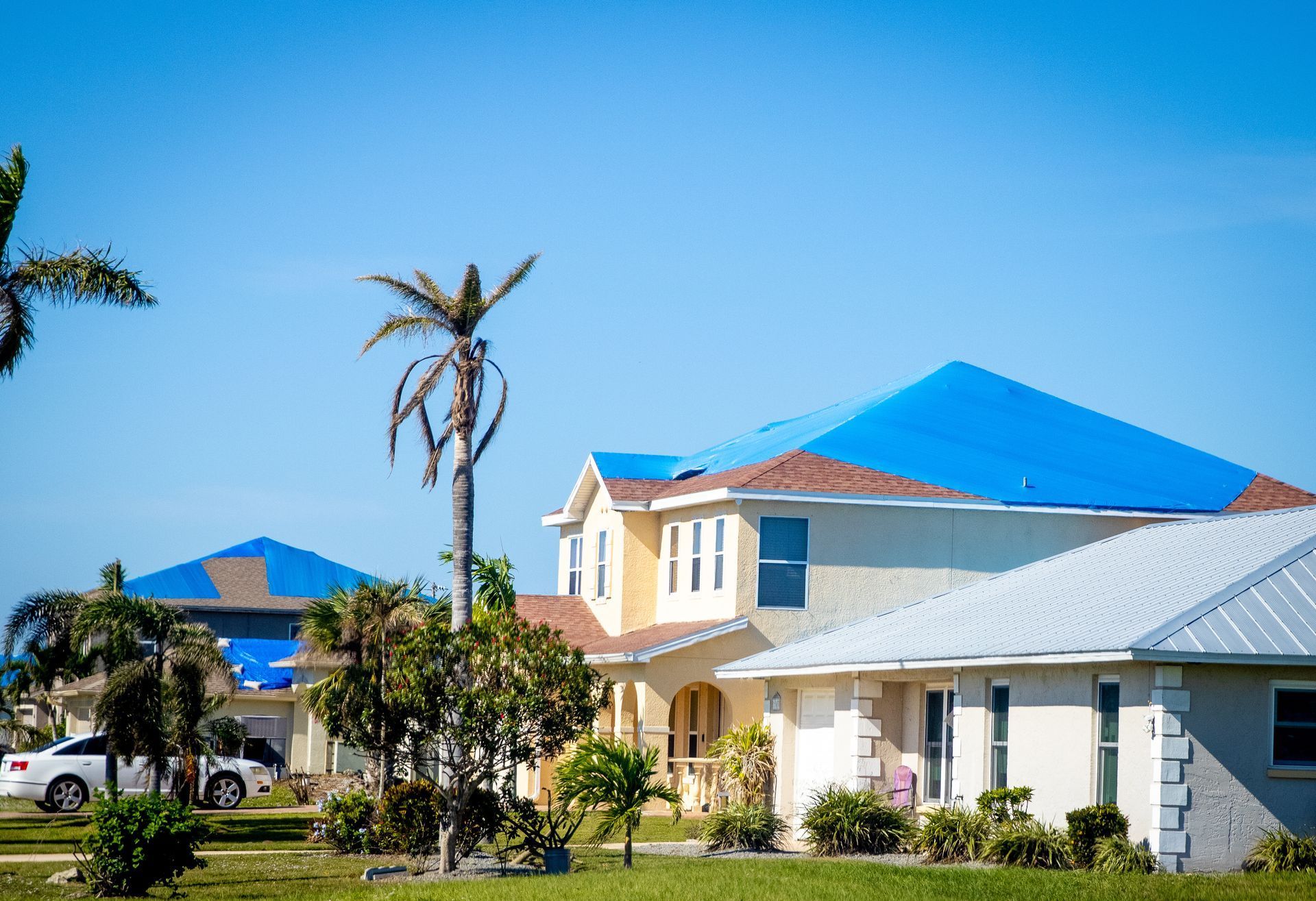 Homes with blue tarps on their roofs, palm trees, and clear blue sky.