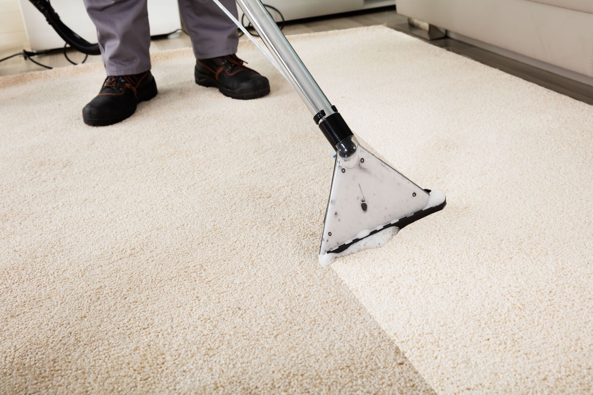 carpet cleaning services