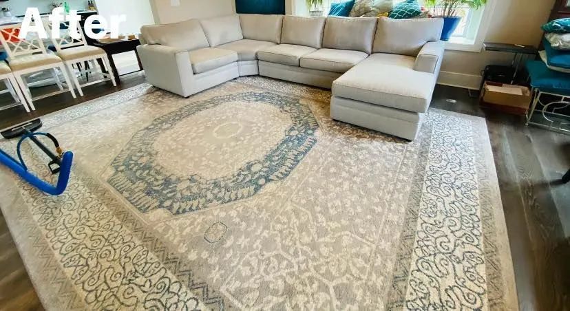 A cleaned living room rug after cleaning. Light gray rug with blue accents, light gray sectional sofa.