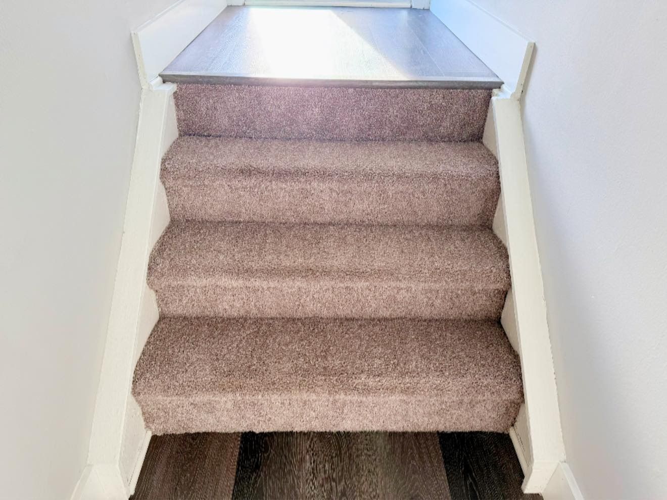 Carpeted staircase with white side rails and dark wood flooring below.