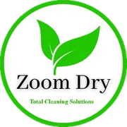 Logo for Zoom Dry cleaning solutions: green leaves and text within a green circle.