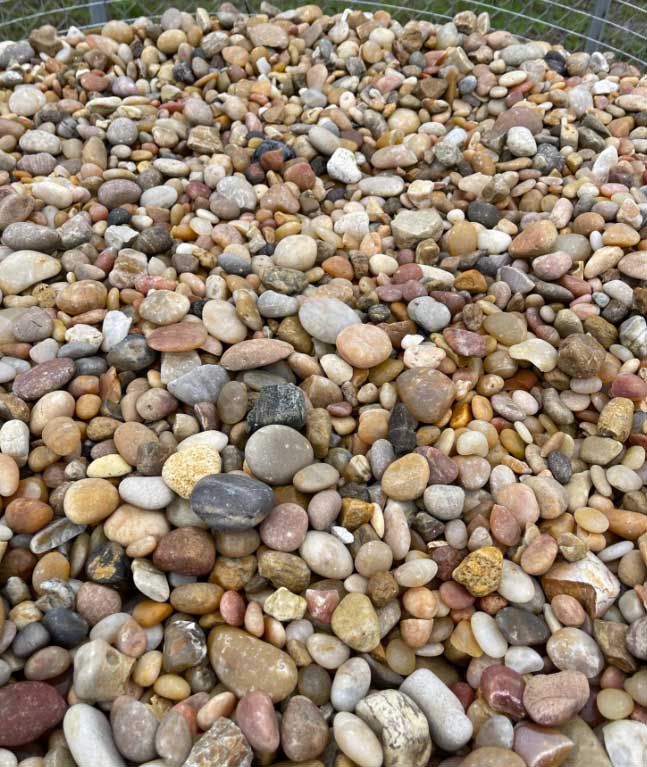 Alabama Sunset in Yard