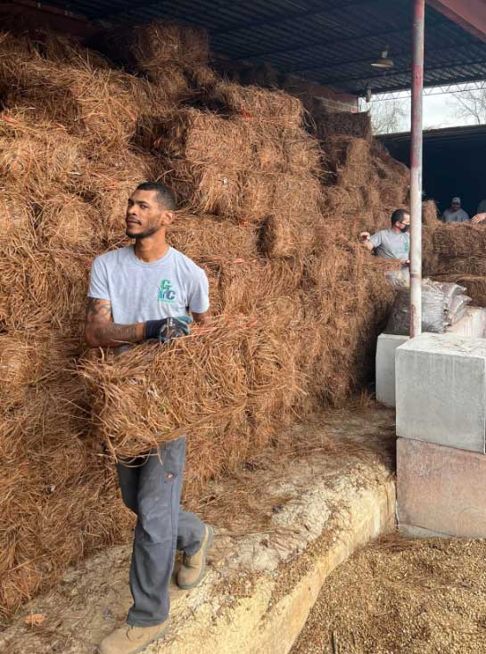 Pine Straw Bale