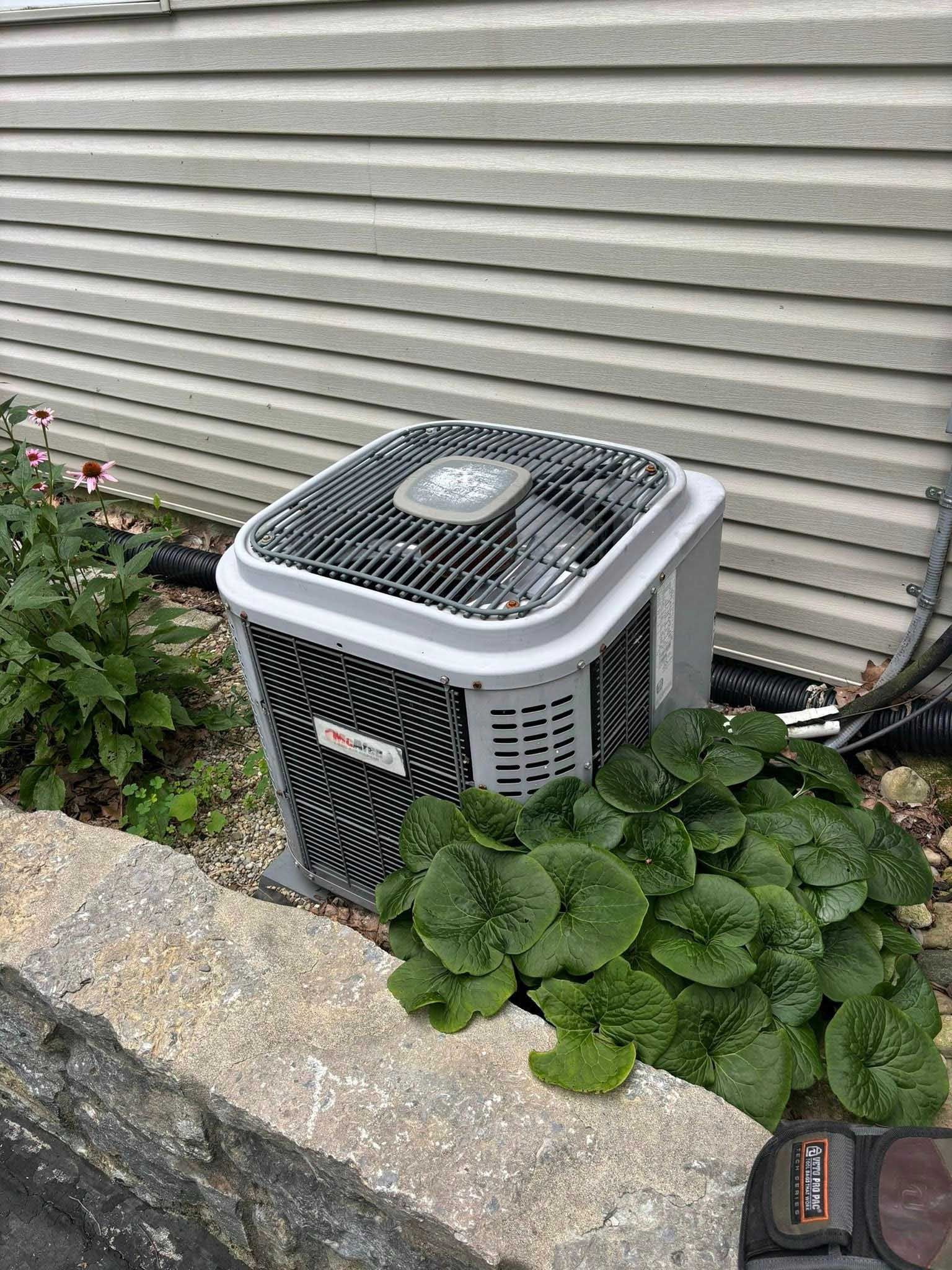 Air conditioning unit next to a wall, surrounded by green plants.