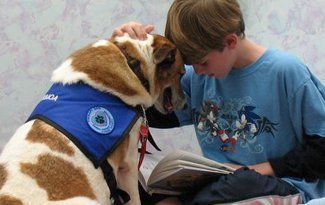 Boy reading with a guide dog wearing a blue vest, their heads touching together