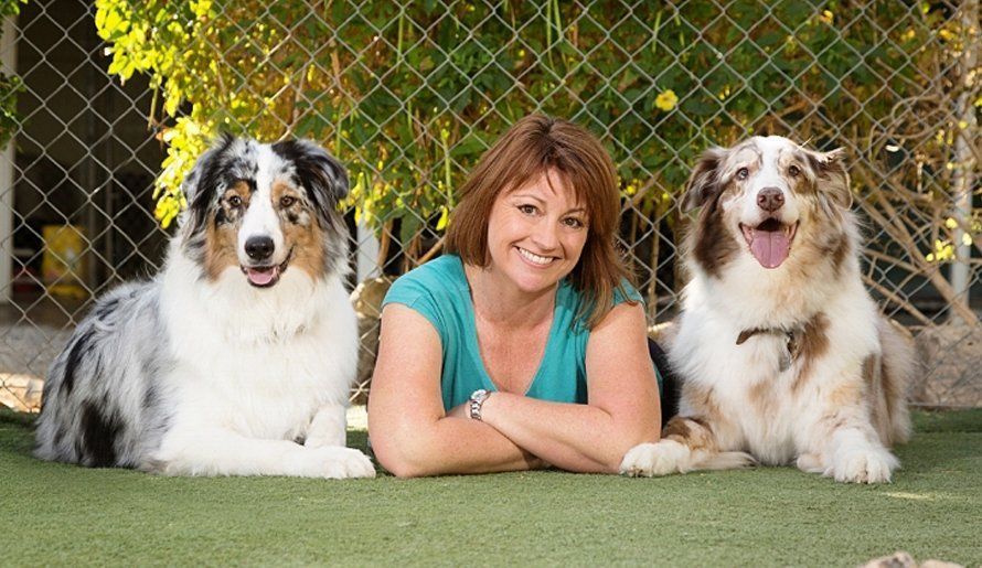 Woman lying between two fluffy dogs on grass, smiling in front of a fence and trees.