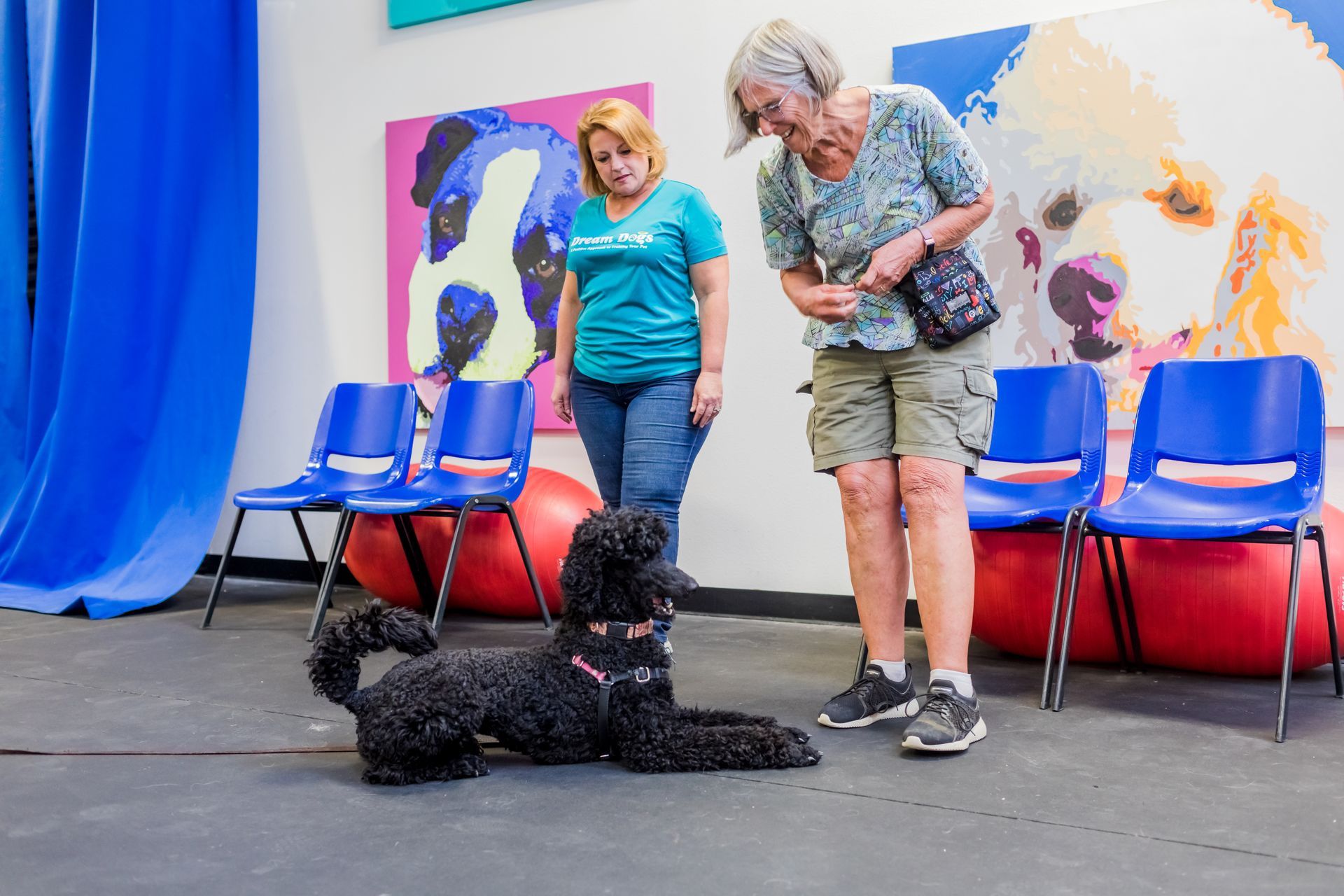 Woman and man standing beside a black poodle on a stage with colorful dog portraits and blue chairs