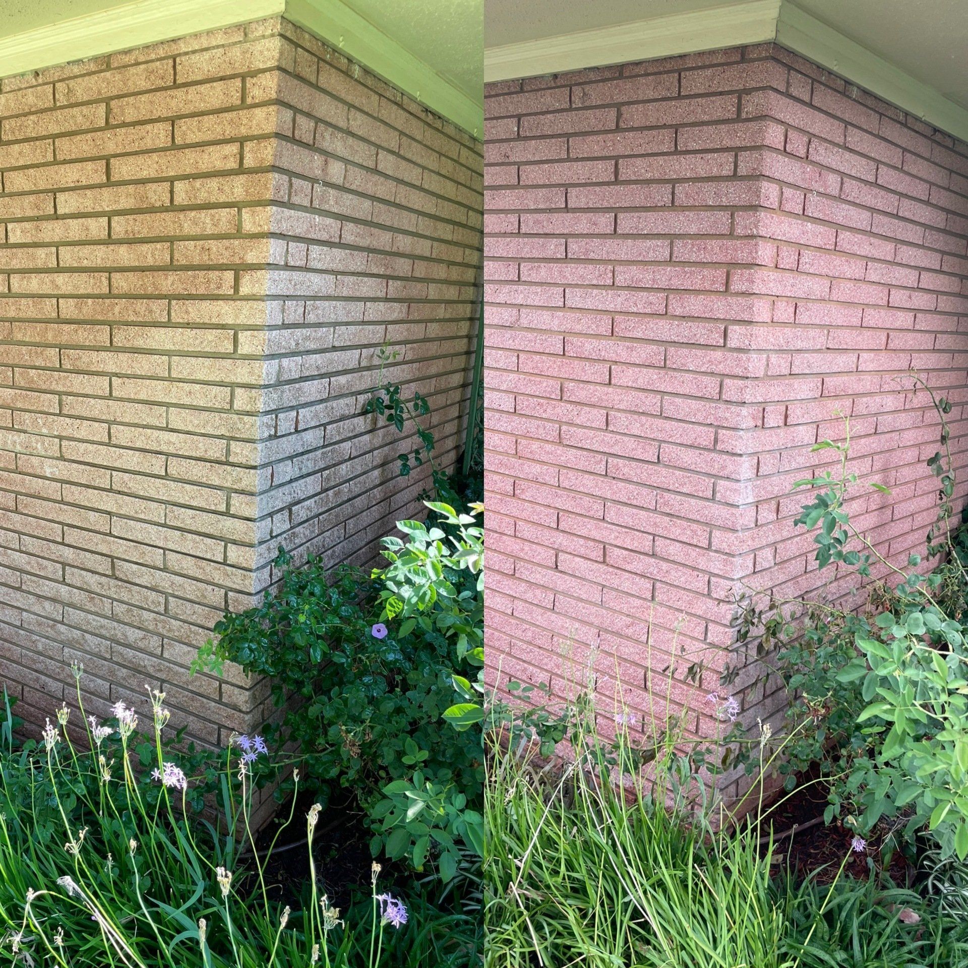 Pressure washing