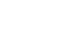 Mark Motors Detail Division - logo