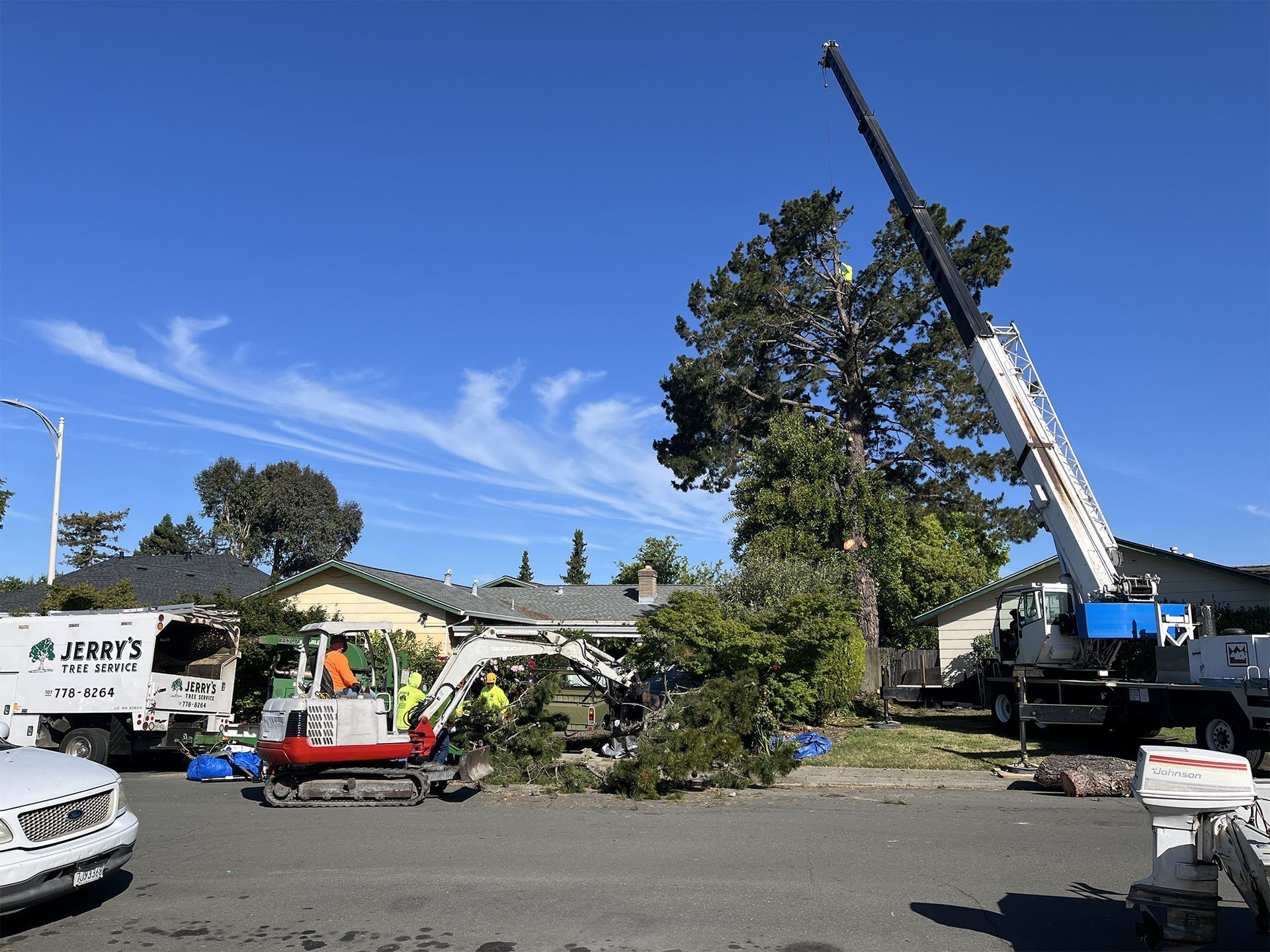 Crane lifting a tree beside a house, with workers and trucks on a sunny street