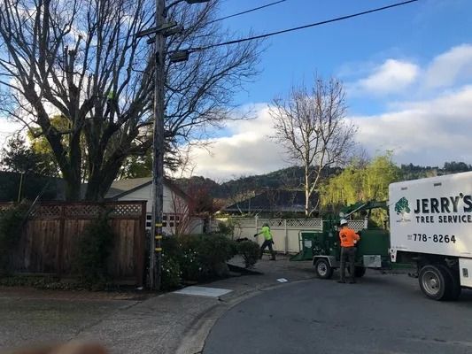 Tree service crew chipping branches near a house and power lines.