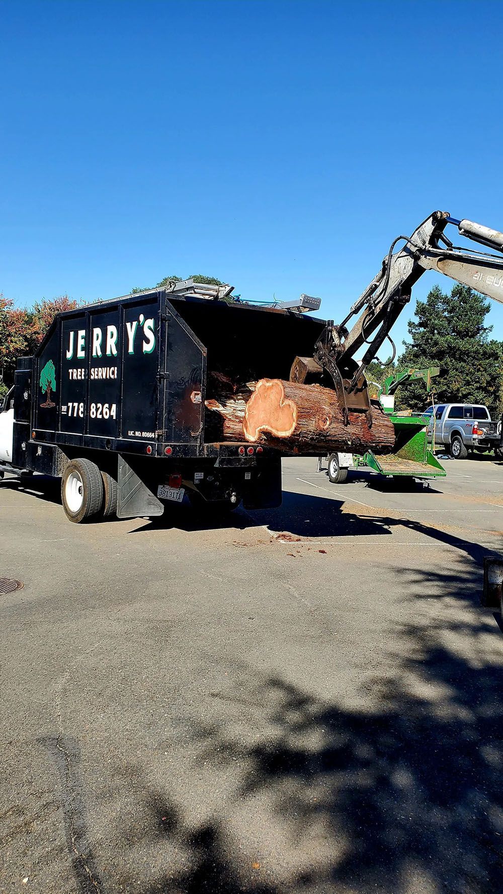 Jerry's Tree Service truck being loaded with wood by an excavator arm under a clear blue sky.