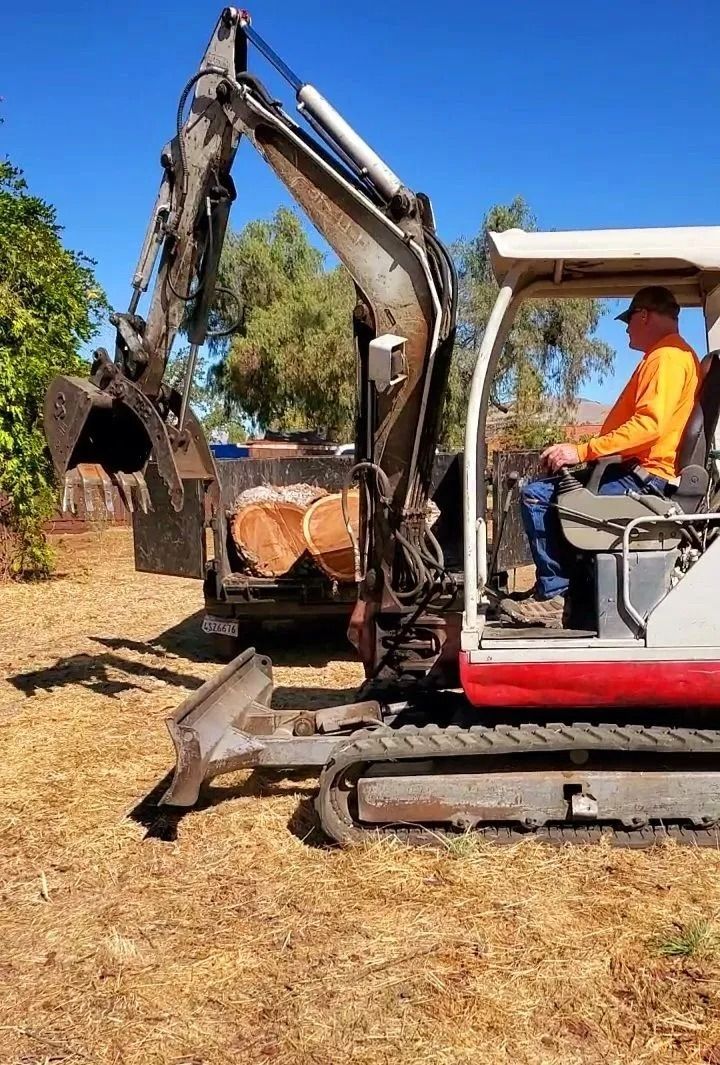 A person operates an excavator to load logs into a container outdoors on a sunny day.
