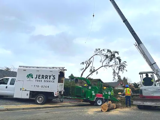 Jerry's Tree Service truck and crane removing a tree. Green chipper, blue sky, worker in a vest.