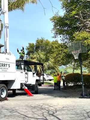 Workers with a tree service truck cheer near a basketball hoop. One person is in the raised bucket.