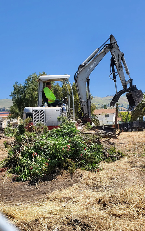Man operating excavator clearing debris on a sunny day. White machine, green shirt, dirt ground.