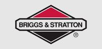 Briggs and Stratton