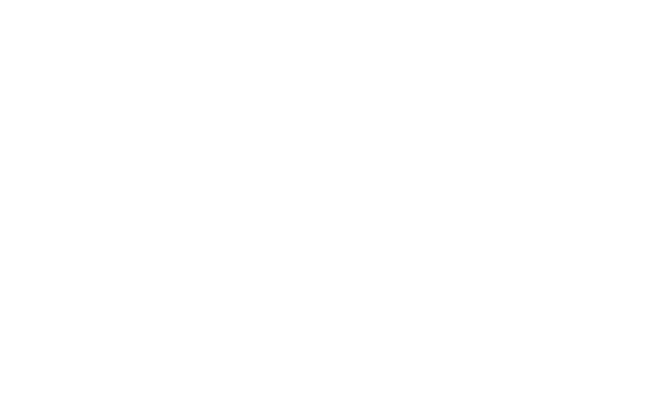 Brothers In Trees - logo