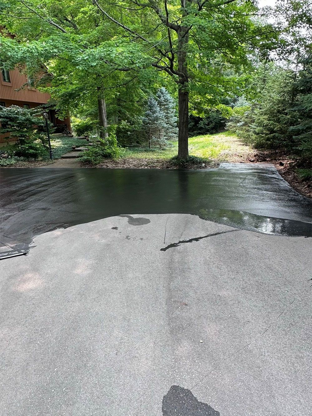 Black asphalt driveway, wet with water, leading toward trees and a house.